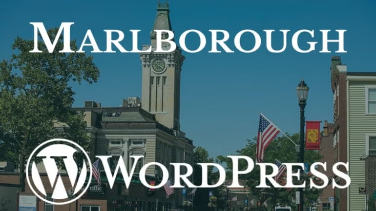 MWP Lunch and Learn: Petrin Blocks